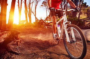 Bicicletas