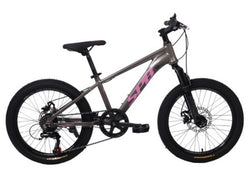 BICICLETA 20 MTB SP NRG MUJER GRIS/ROSA