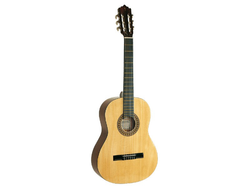 PALMER PC13-LB 39" CLASSICAL GUITAR COFFEE
