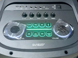 PARLANTE SANKEY AMP/BAT/50W/12"/BT