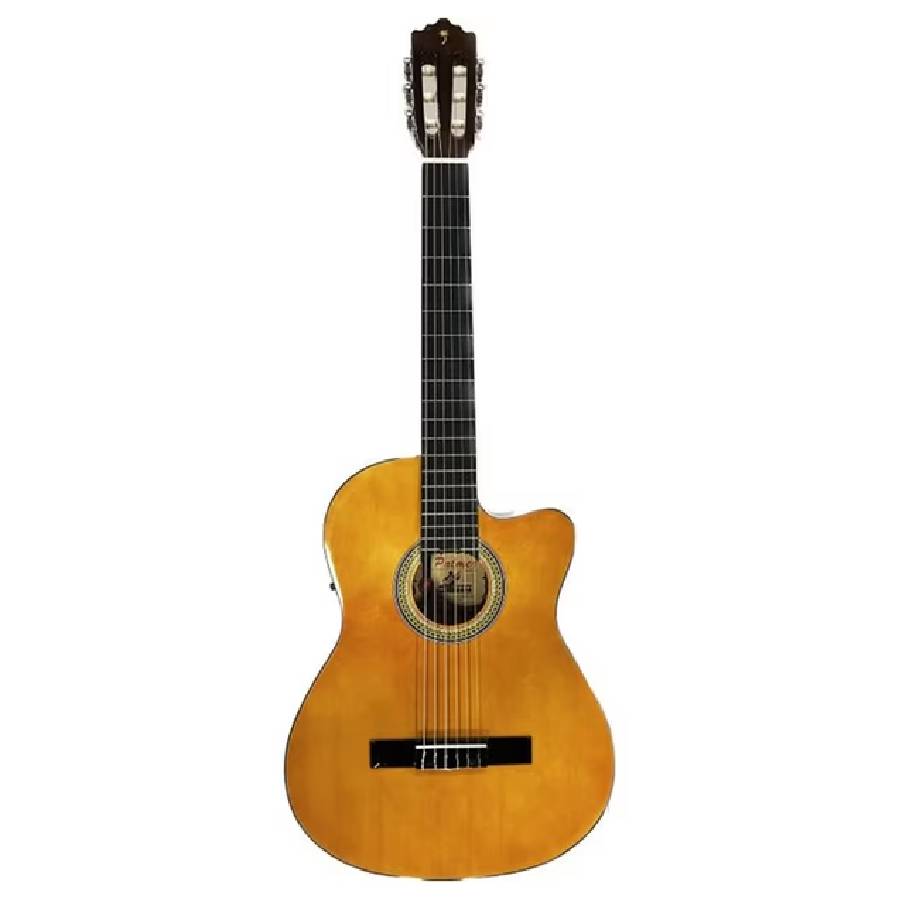 GUITARRA ELECTROAC PALMER PC13CEQ-PEQ1-LB 39"