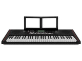 ORGANETA ROLAND E-X10  RCEX10