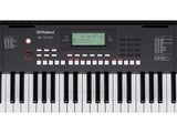ORGANETA ROLAND E-X10  RCEX10