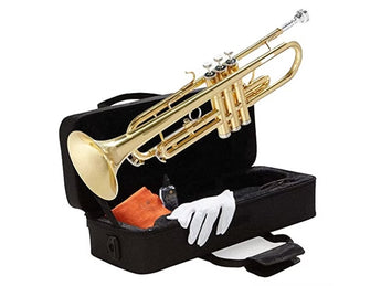 HOFFER HTP100 TRUMPET (LQ) GOLD W/CASE