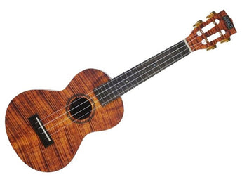 SOPRANO UKULELE AES KOA TMMA1KA