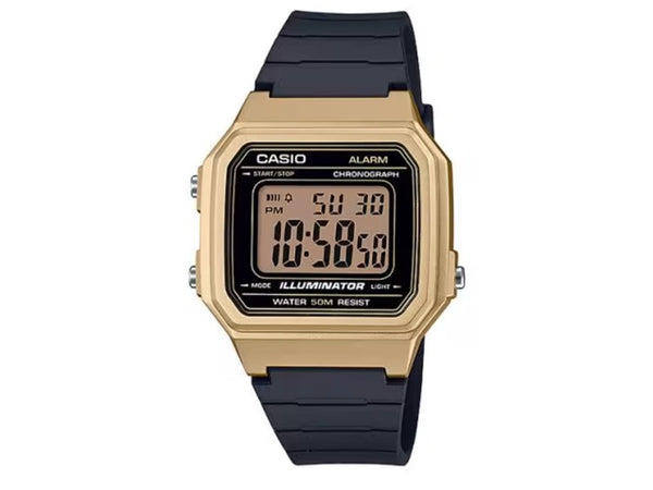 RELOJ DiGITAL CASIO W-217HM-9AV